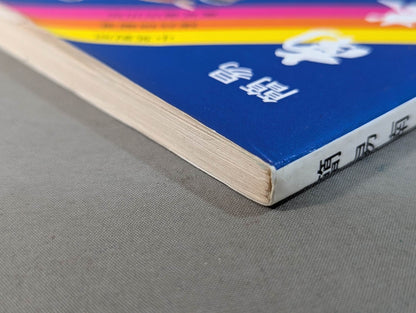 KUNG FU IN SOUTH CHINA