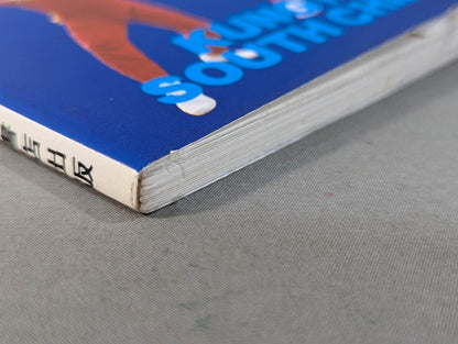 KUNG FU IN SOUTH CHINA