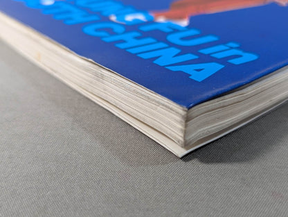 KUNG FU IN SOUTH CHINA