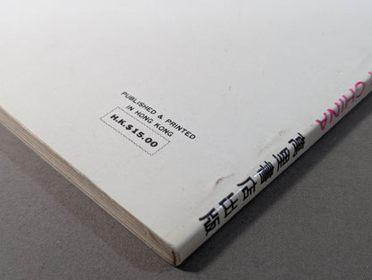 KUNG FU IN SOUTH CHINA