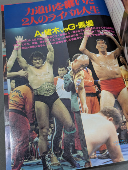 1945~198540 Years of Turbulent Sports (6) Pro Wrestling  Treasured A tumultuous history written with a photo