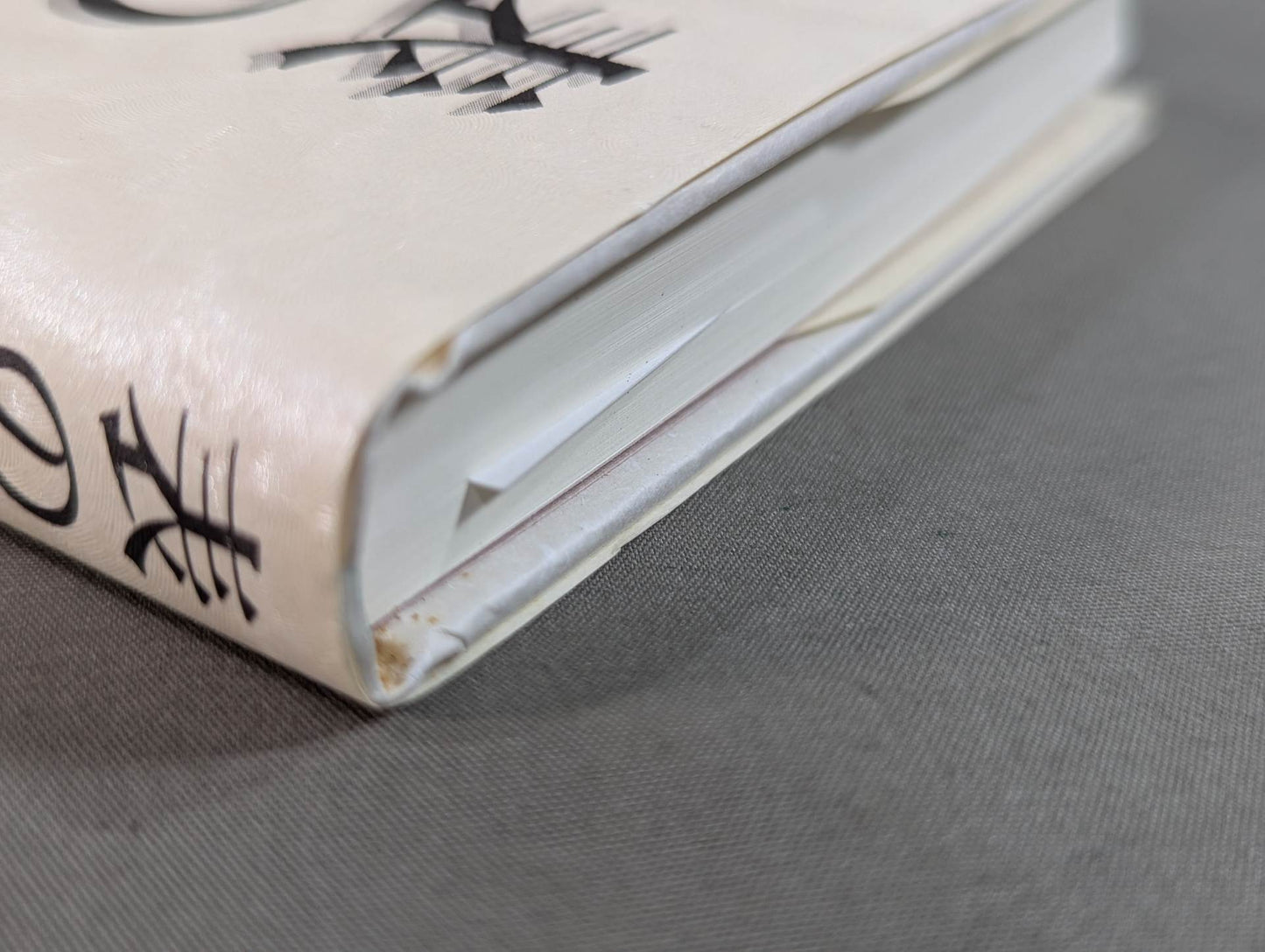 表の体育 裏の体育