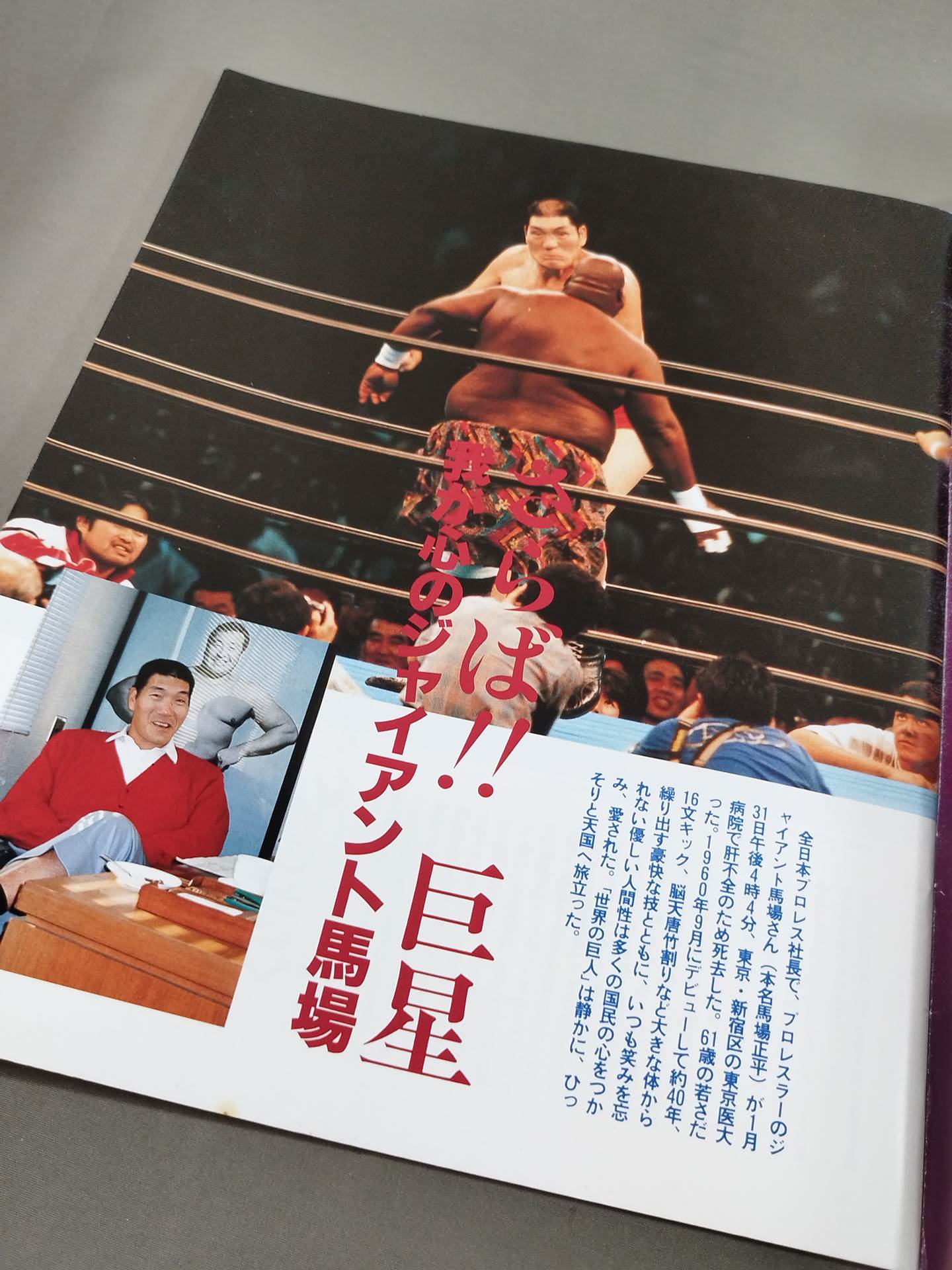 我が心のジャイアント馬場 日刊スポーツグラフ