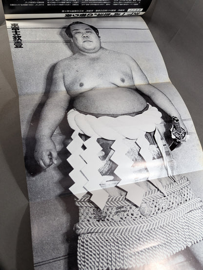昭和の名横綱シリーズ⑩ 東富士欽壹 前田山英五郎 朝潮太郎