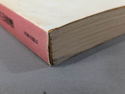 The Road to Kyokushin My KARATE Philosophy