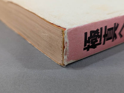 The Road to Kyokushin My KARATE Philosophy