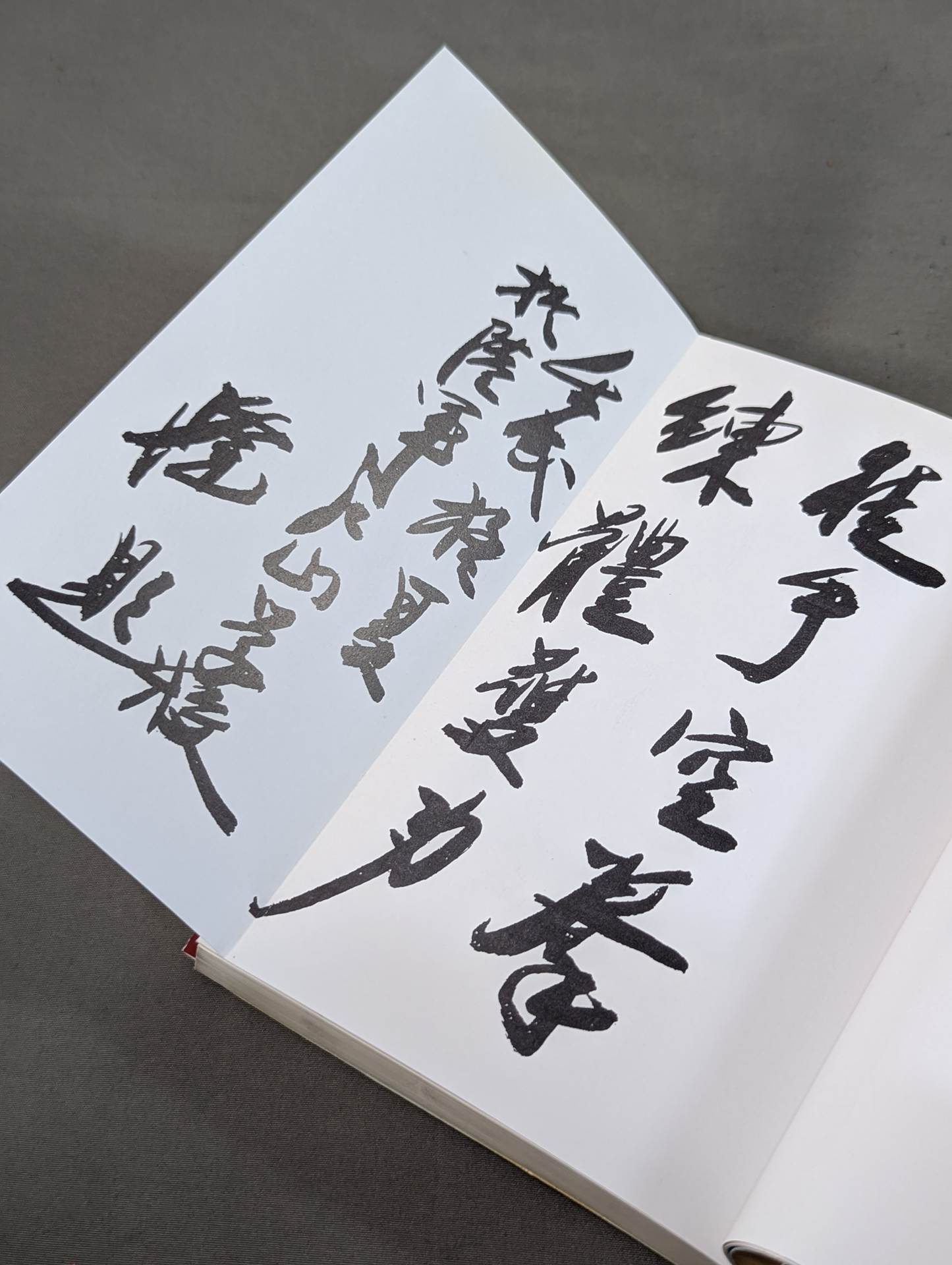 錬膽護身 唐手術 －復刻版－ – 闘道館