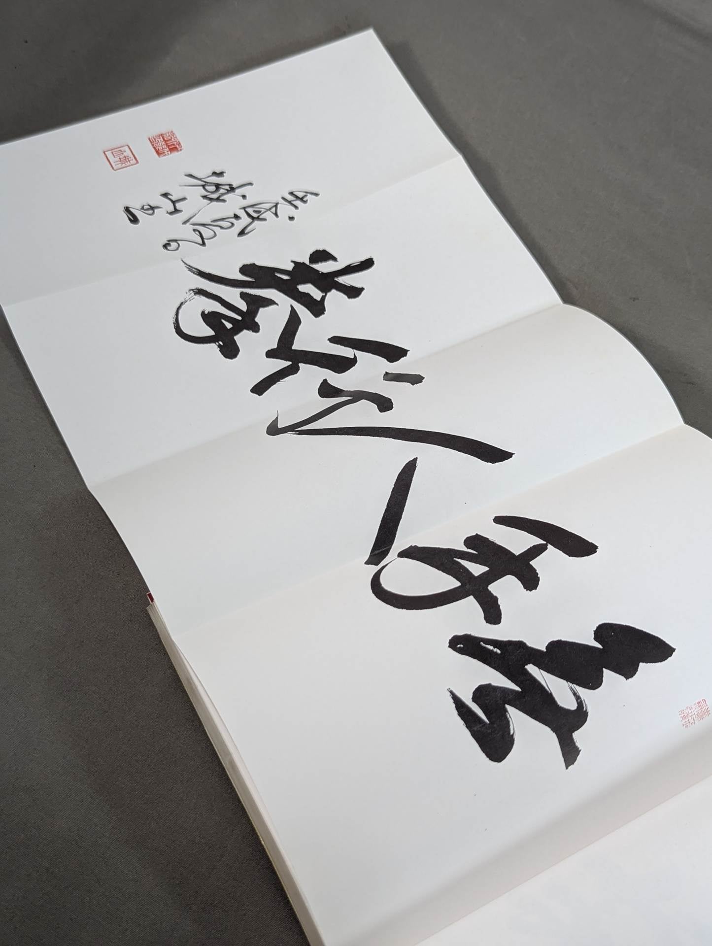 錬膽護身 唐手術 －復刻版－ – 闘道館