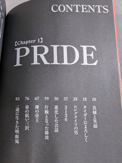 Pro Wrestling  Memorial Match 29 Episodes of Heart-Warming Wrestlers
