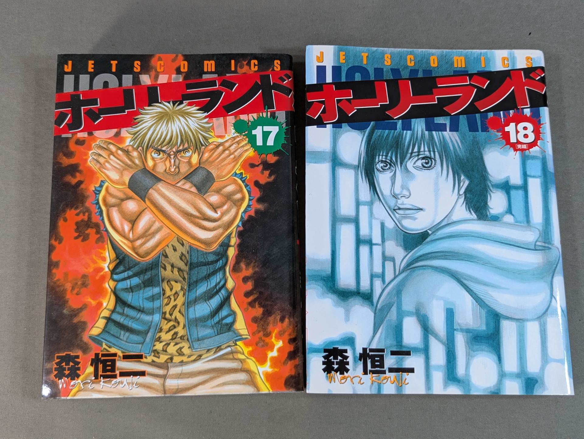 全18巻セット】 ホーリーランド – 闘道館