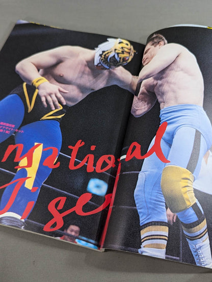 THE TIGER ザ・タイガーの格闘技道場