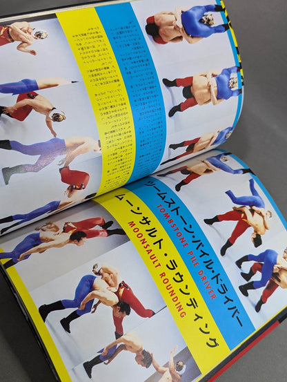 THE TIGER ザ・タイガーの格闘技道場