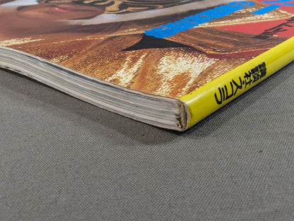 THE TIGER ザ・タイガーの格闘技道場