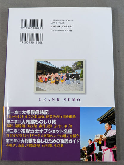 The more you learn about sumo, the more