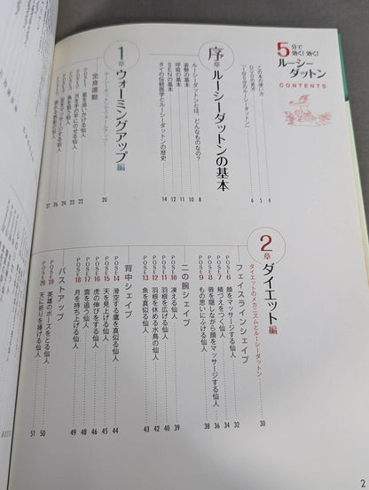 【DVD付】DVDでわかる 5分で効く!効く! ルーシーダットン