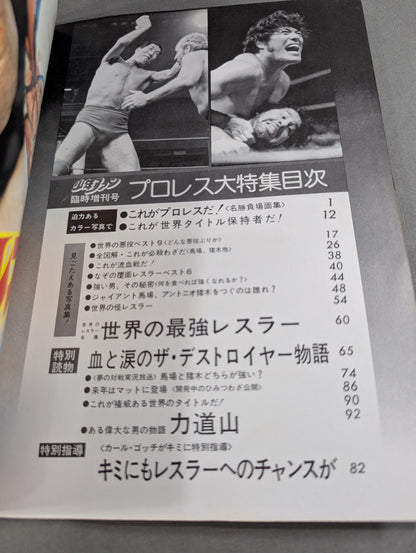 少年ファン臨時増刊号 プロレス大特集!