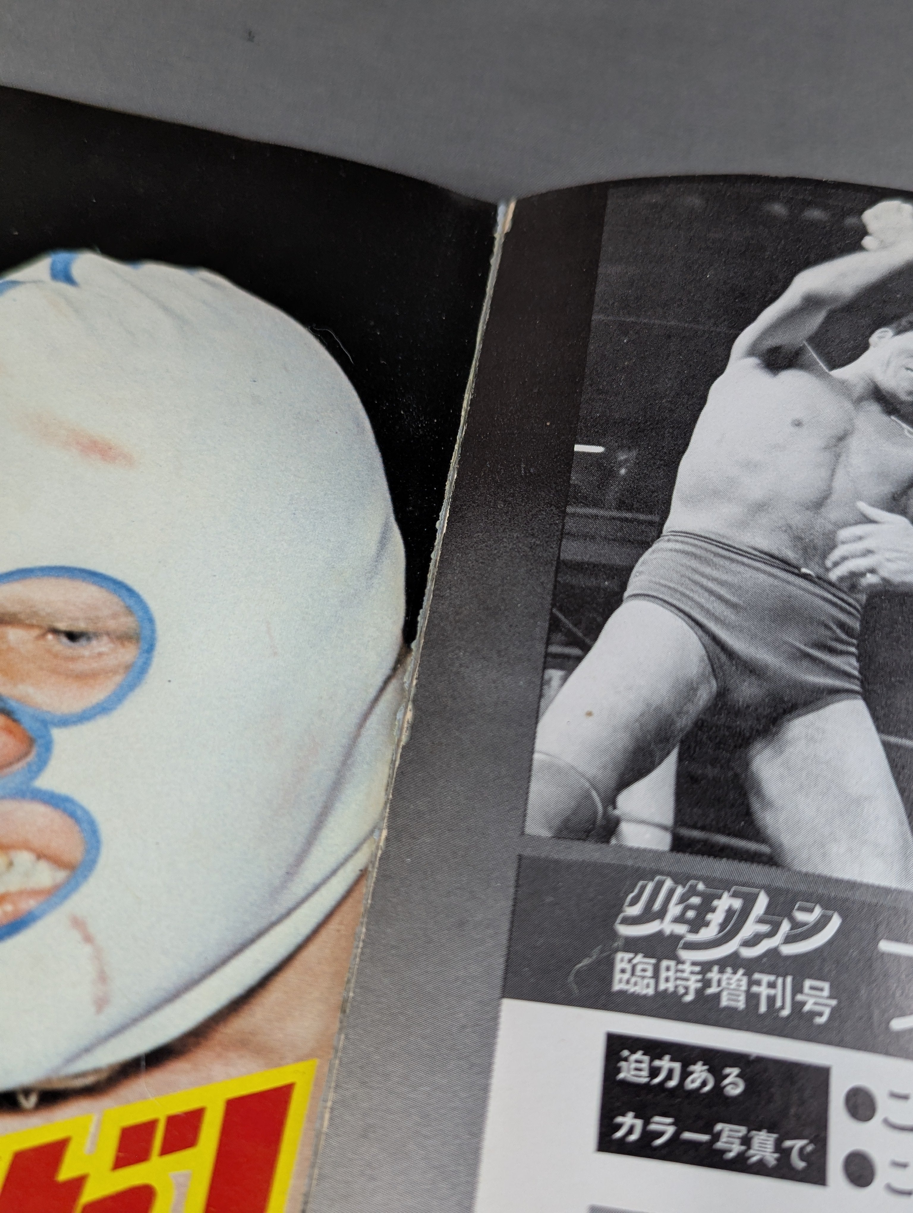 少年ファン臨時増刊号 プロレス大特集! – 闘道館
