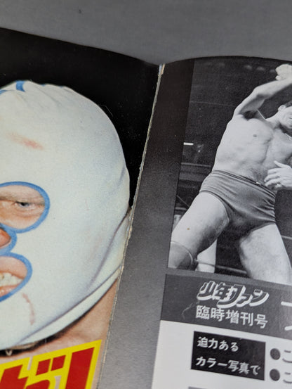 少年ファン臨時増刊号 プロレス大特集!