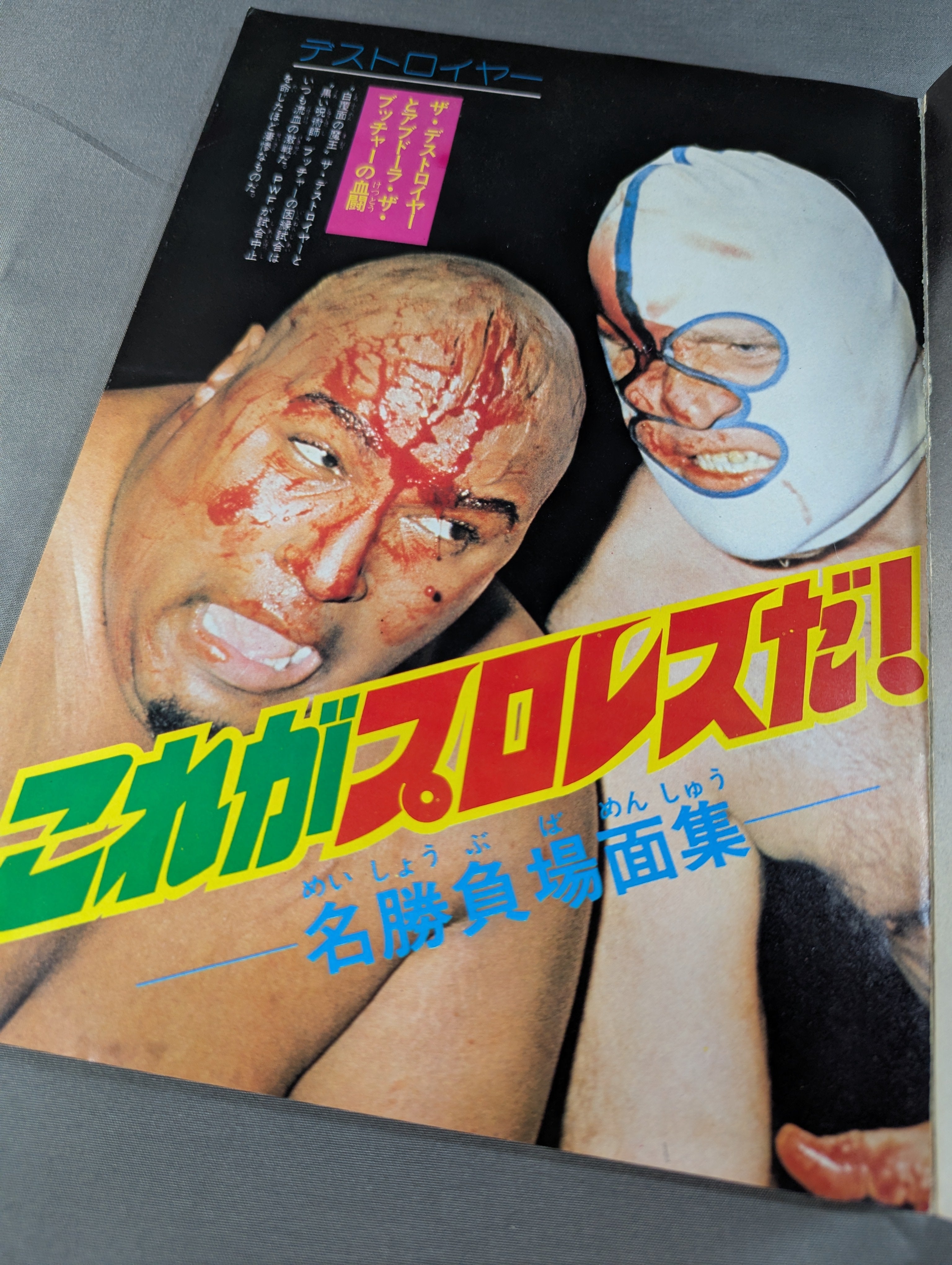 少年ファン臨時増刊号 プロレス大特集! – 闘道館