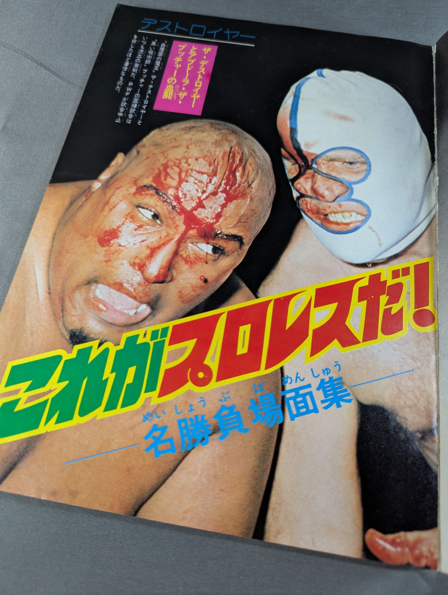 少年ファン臨時増刊号 プロレス大特集!
