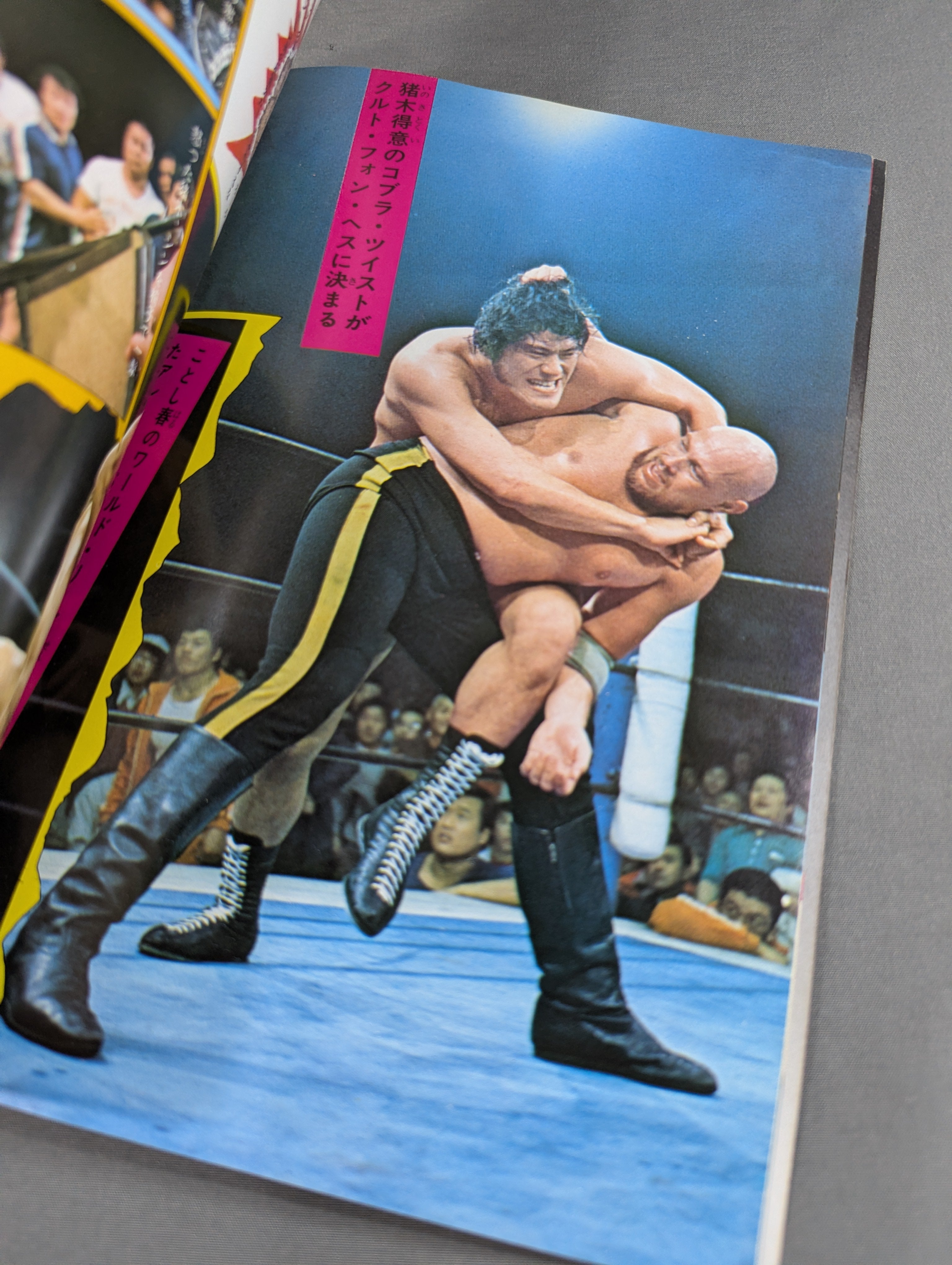 少年ファン臨時増刊号 プロレス大特集! – 闘道館