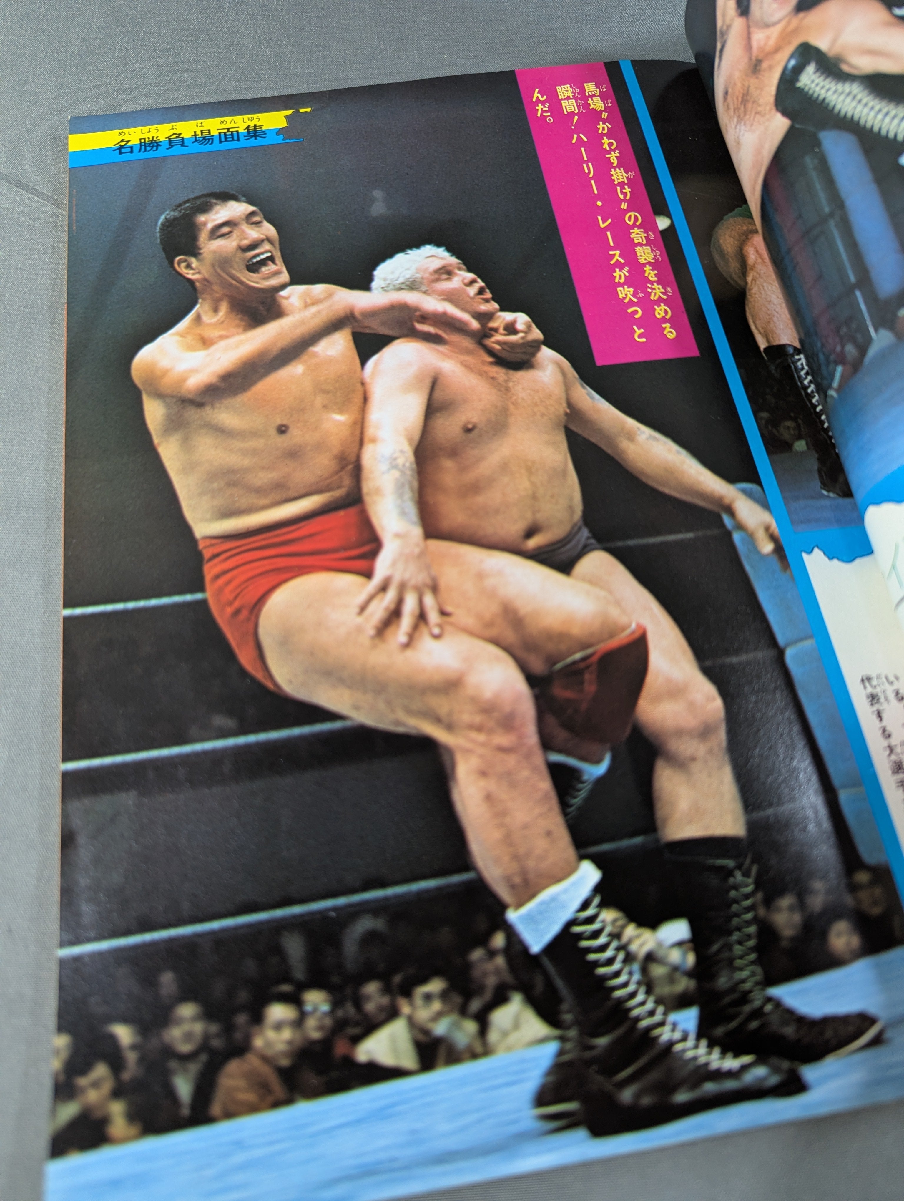 少年ファン臨時増刊号 プロレス大特集! – 闘道館