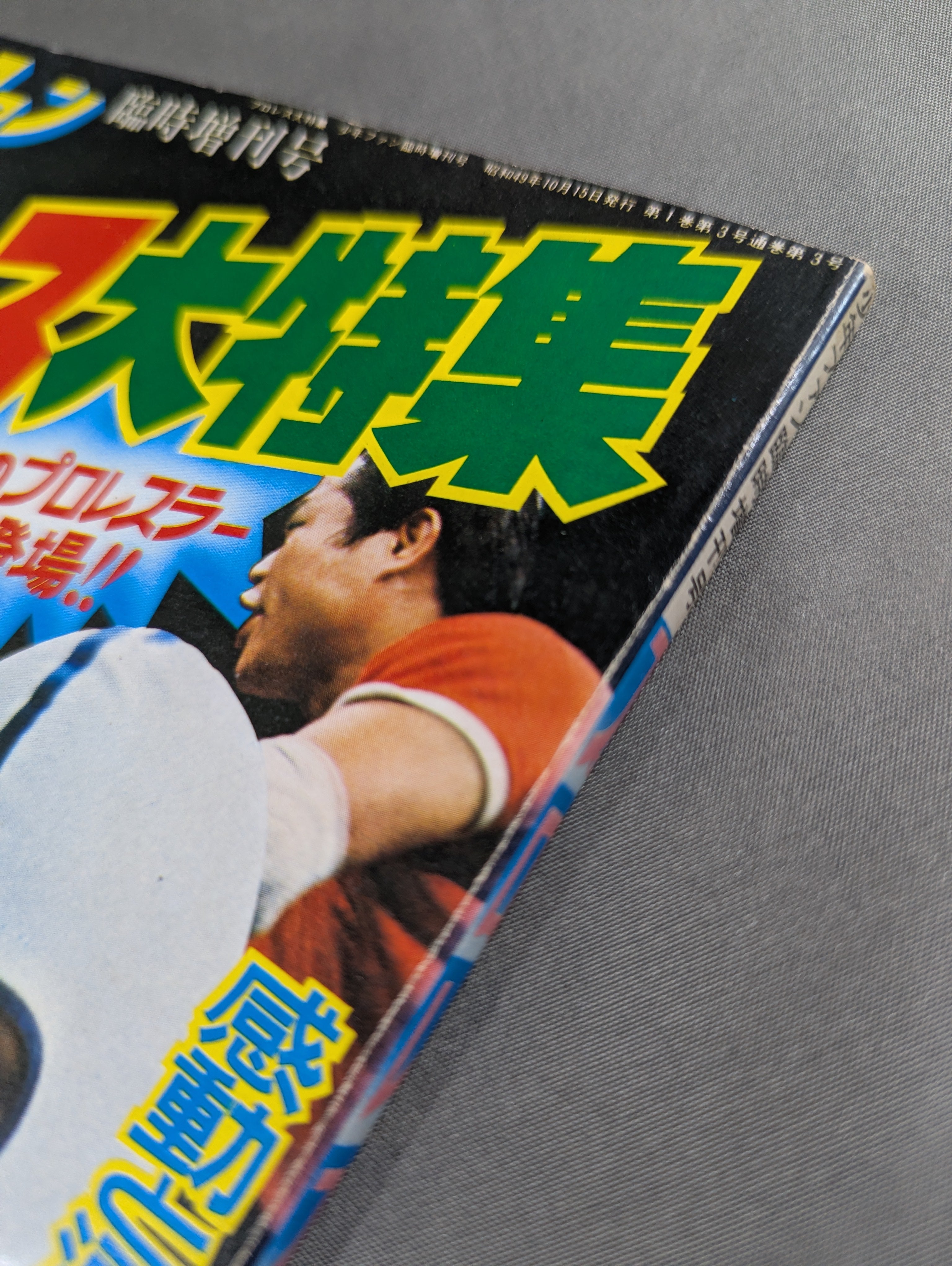 少年ファン臨時増刊号 プロレス大特集! – 闘道館
