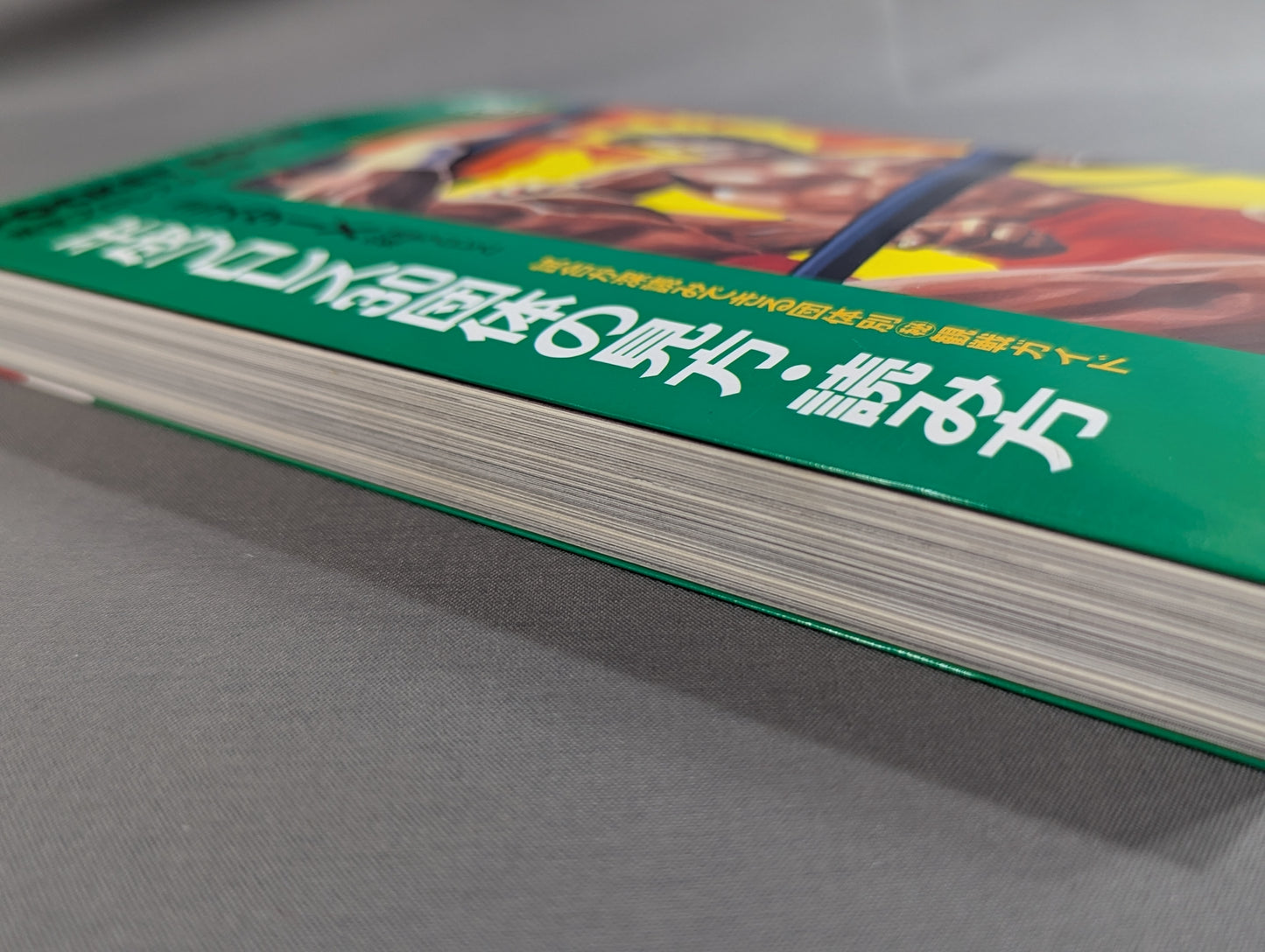 ポケットブック83 平成プロレス30団体の見方・読み方