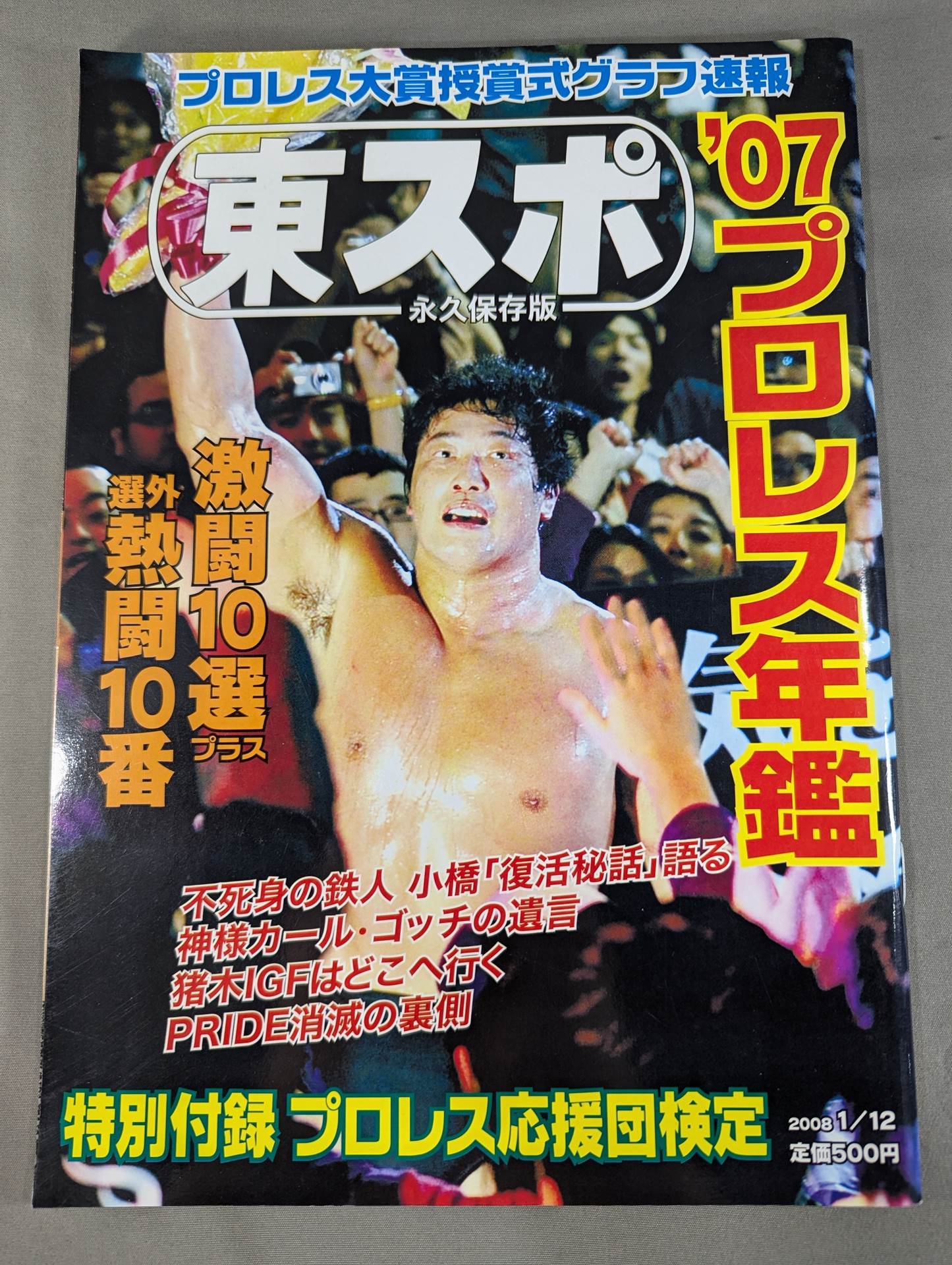 Tospo Permanent Preservation Edition '07 Pro Wrestling  Yearbook
