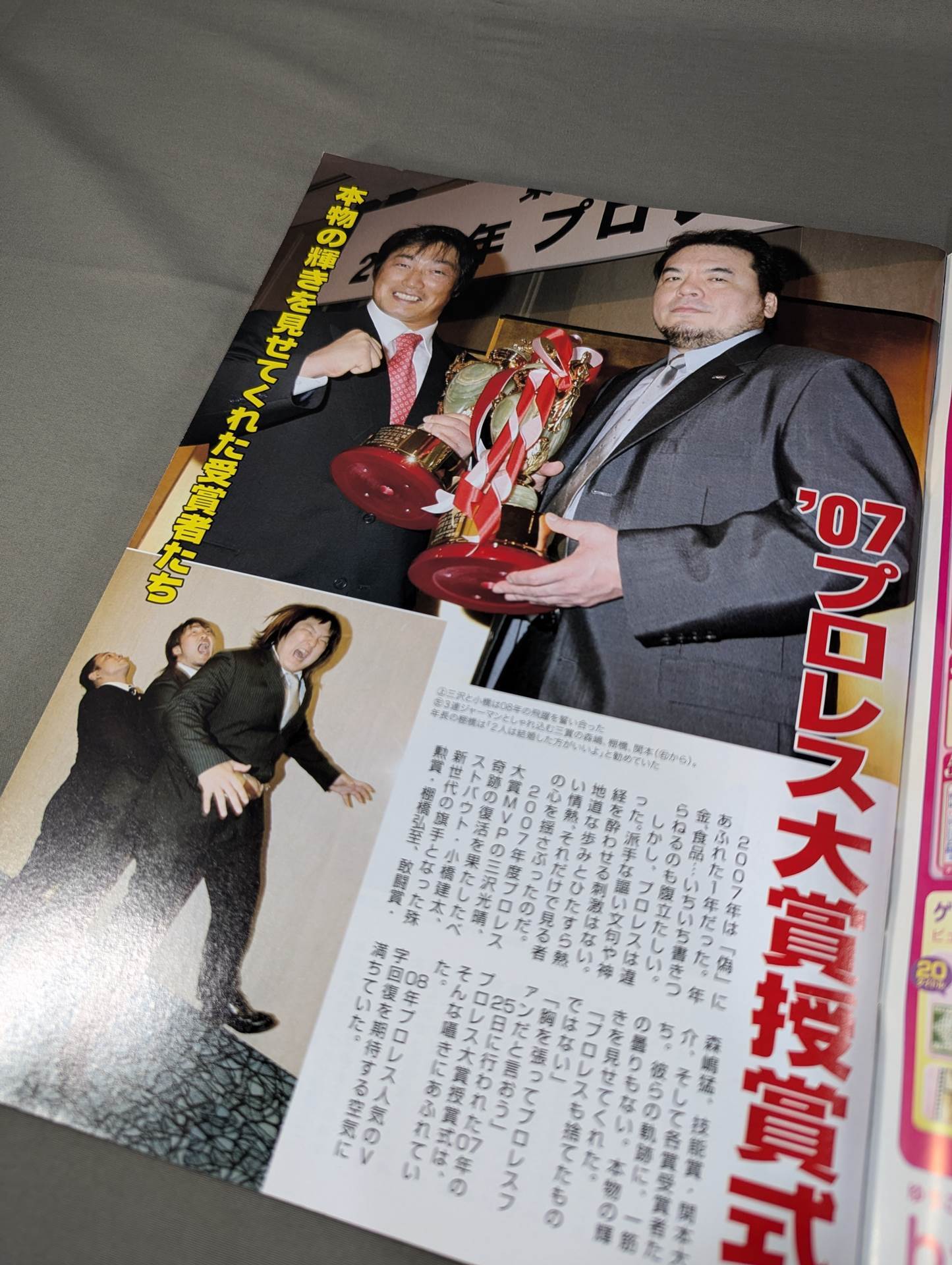 Tospo Permanent Preservation Edition '07 Pro Wrestling  Yearbook