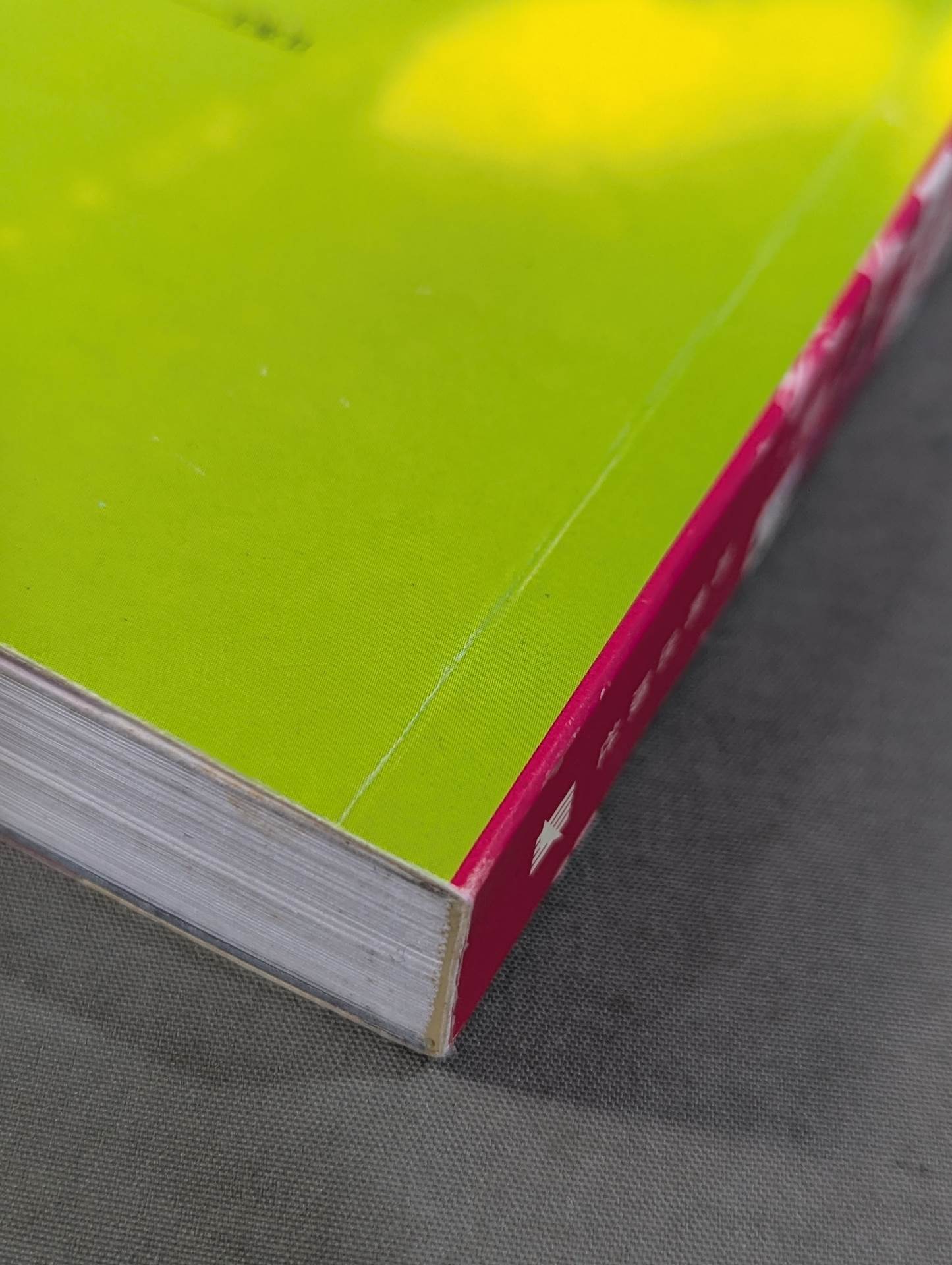 The Secret of Hong Kong Cinema The Art of Entertainment