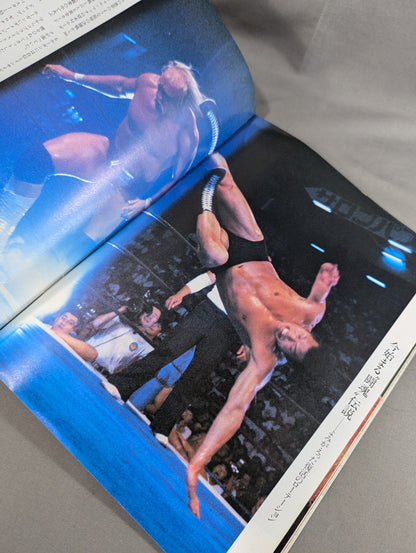 Pro Wrestling  FOCUS