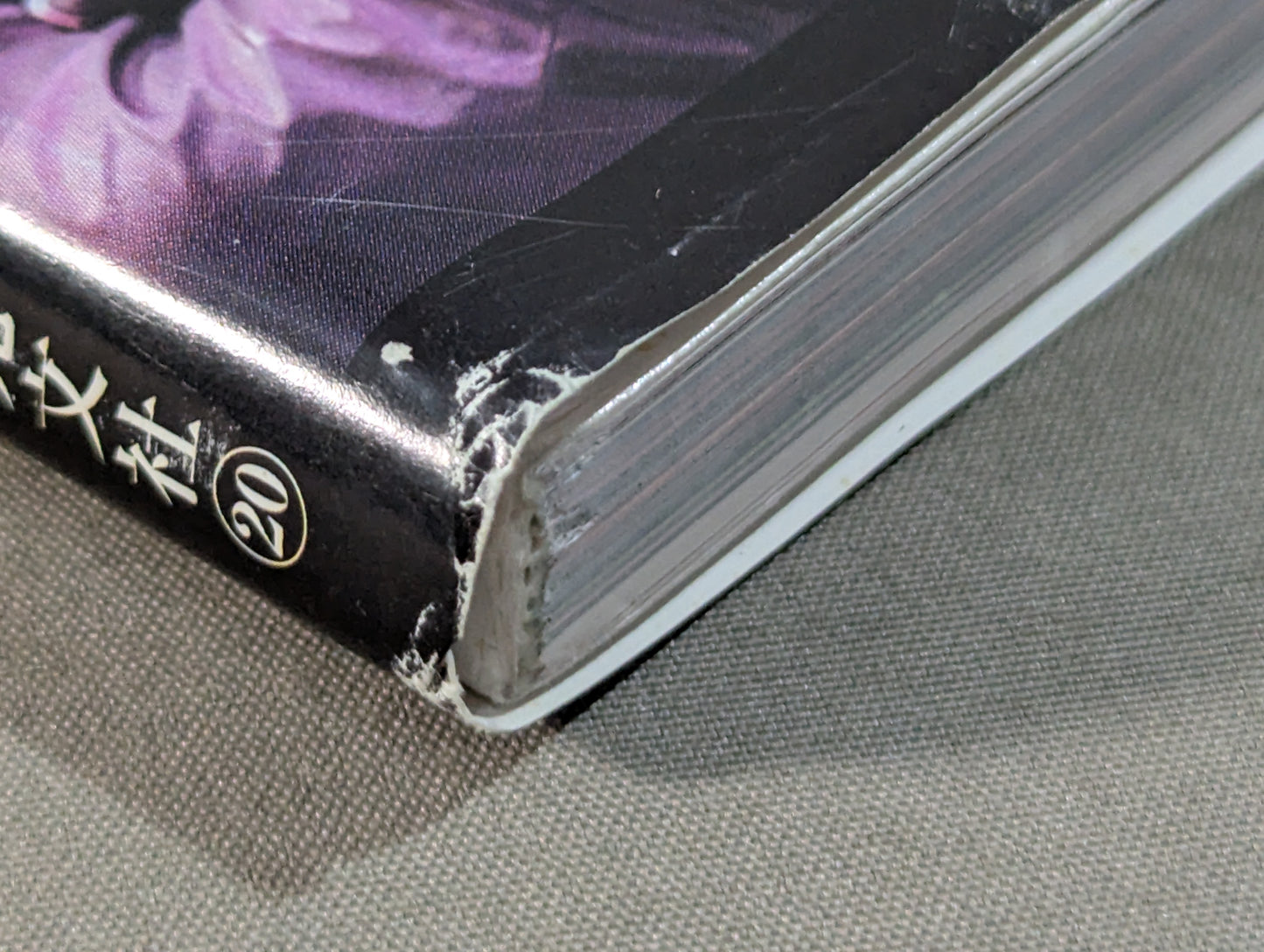 Official Making Book The Kiss of the Dragon The World of Luc Besson