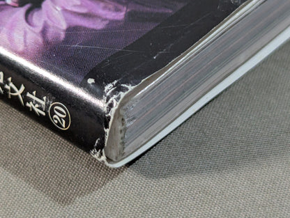 Official Making Book The Kiss of the Dragon The World of Luc Besson