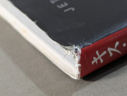 Official Making Book The Kiss of the Dragon The World of Luc Besson