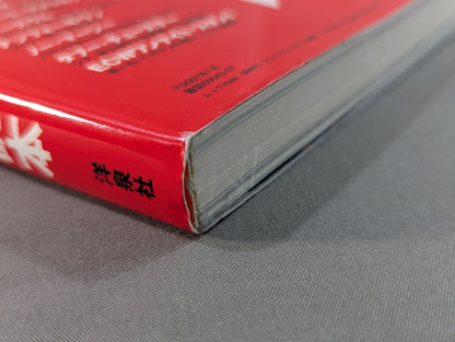 新時代!アメリカンプロレス読本 アメプロ戦国時代に突入!?