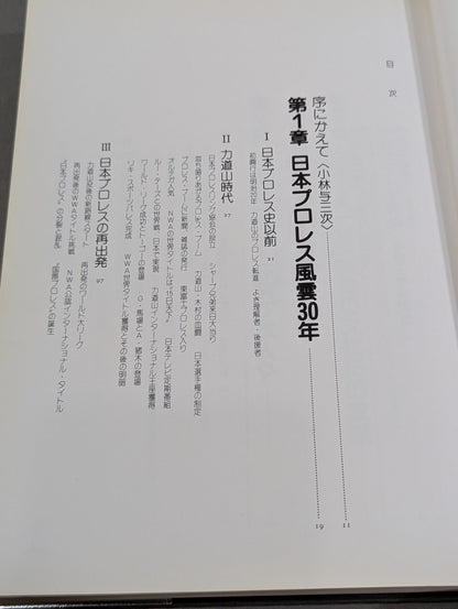 日本プロレス30年史