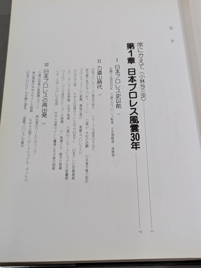 日本プロレス30年史