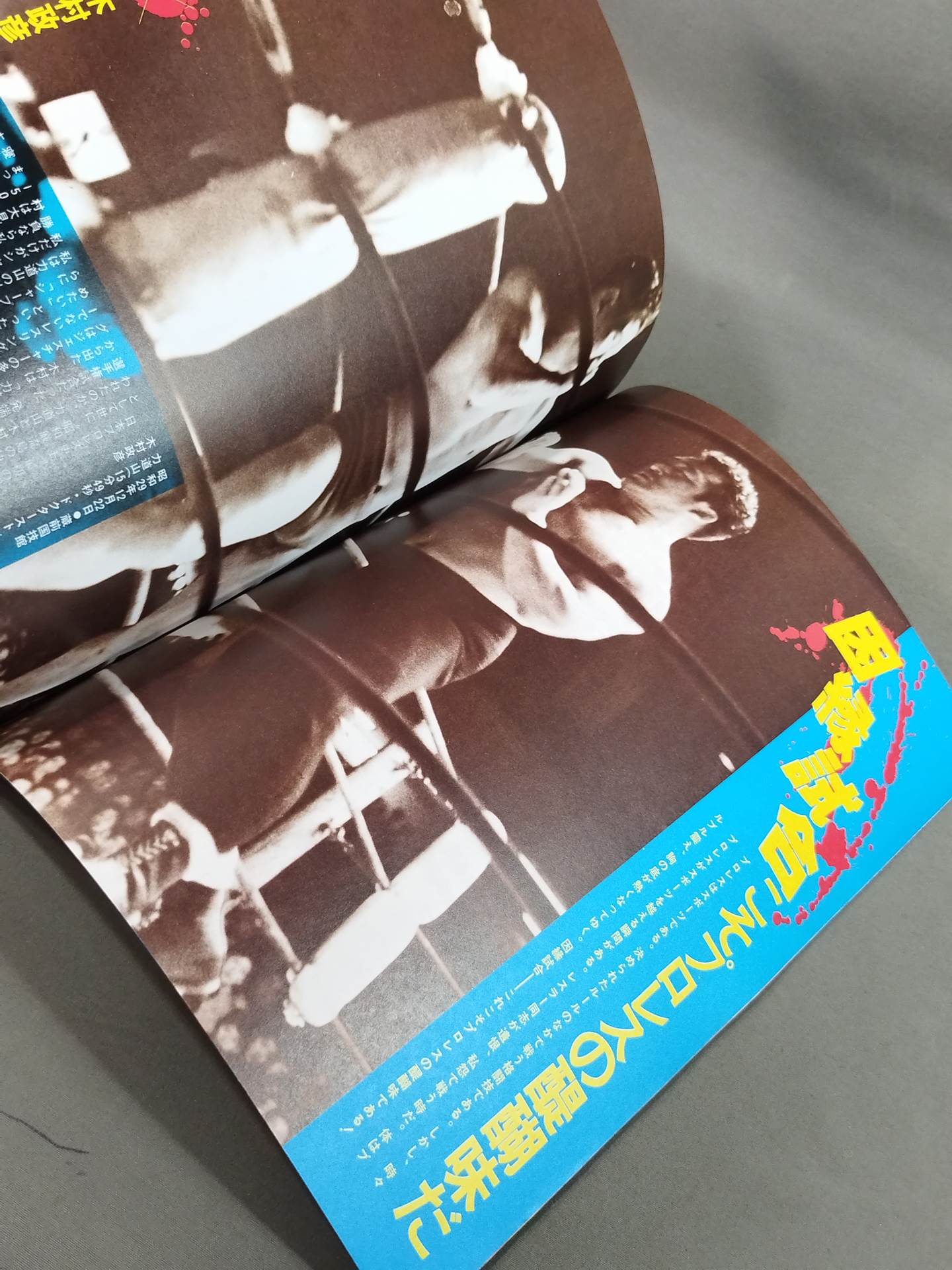 Pro Wrestling Warriors who bet romance on the ring