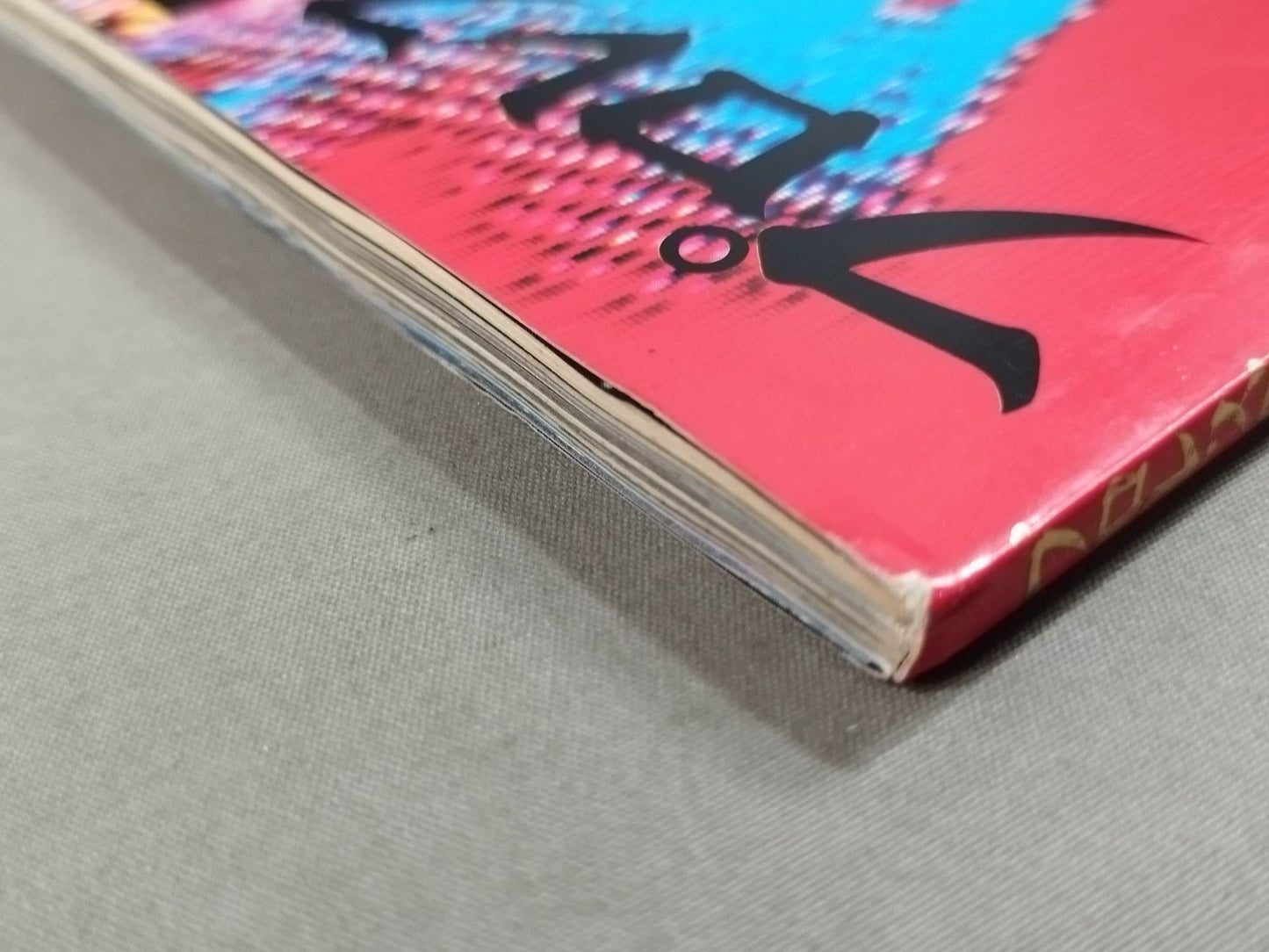 Pro Wrestling Warriors who bet romance on the ring