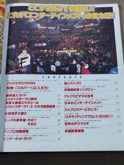American Pro Wrestling TV Perfect Guide