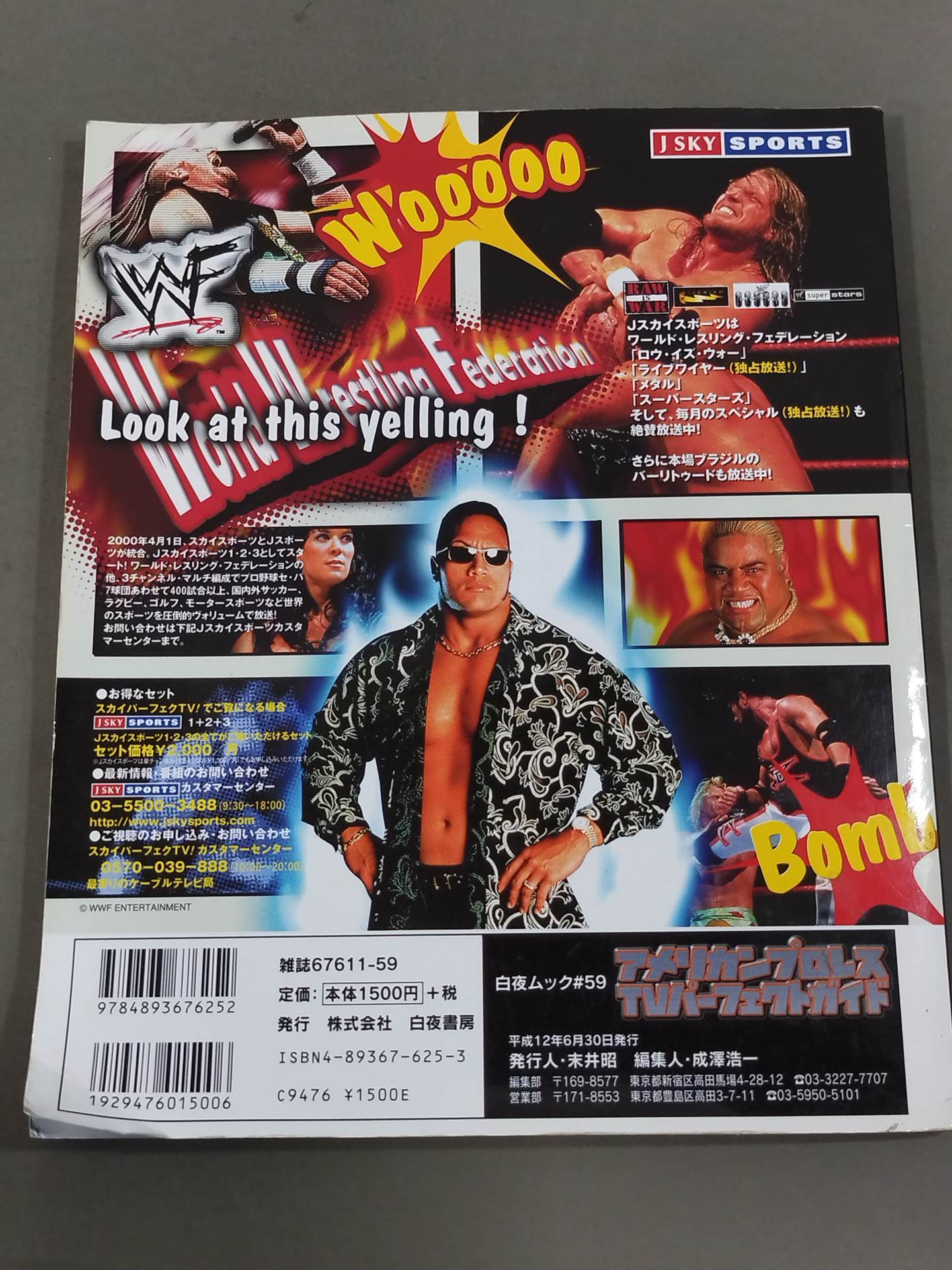 American Pro Wrestling TV Perfect Guide
