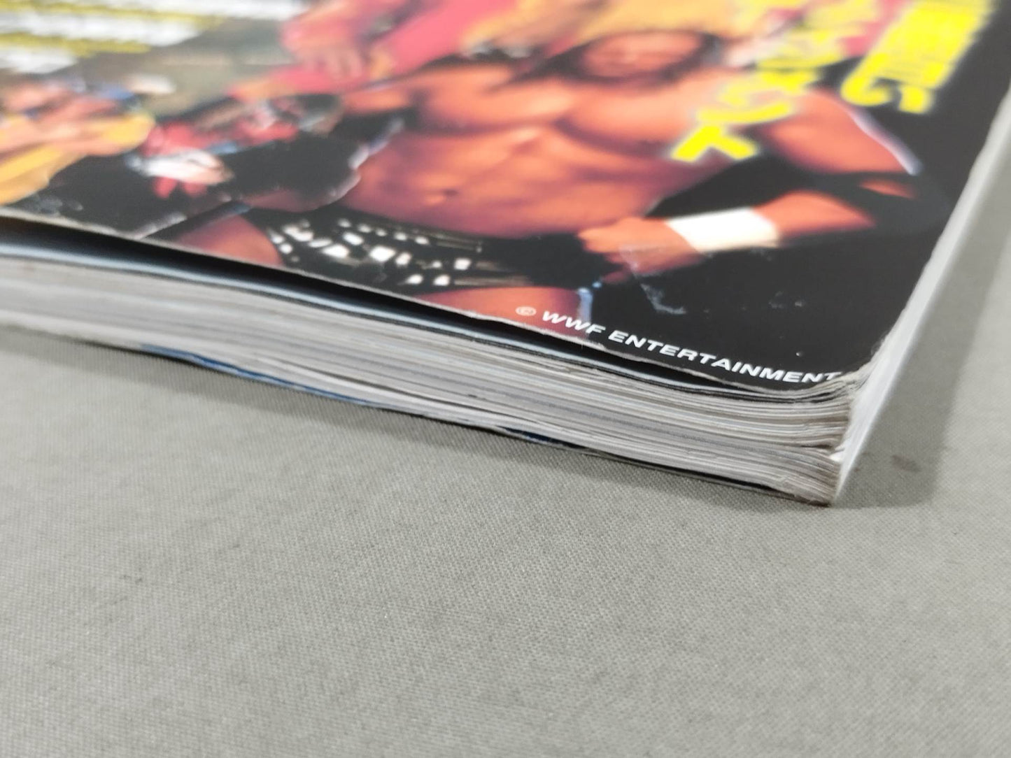 American Pro Wrestling TV Perfect Guide
