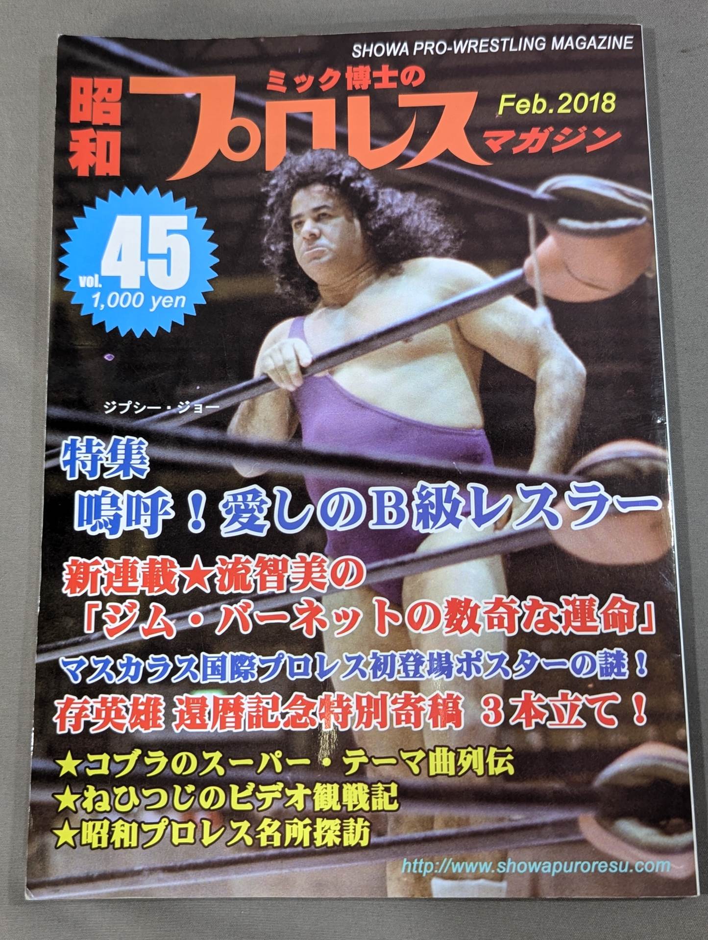 Dr. Mick's Showa Pro Wrestling Magazine No. ★ 45 嗚呼!My beloved B-grade wrestler★
