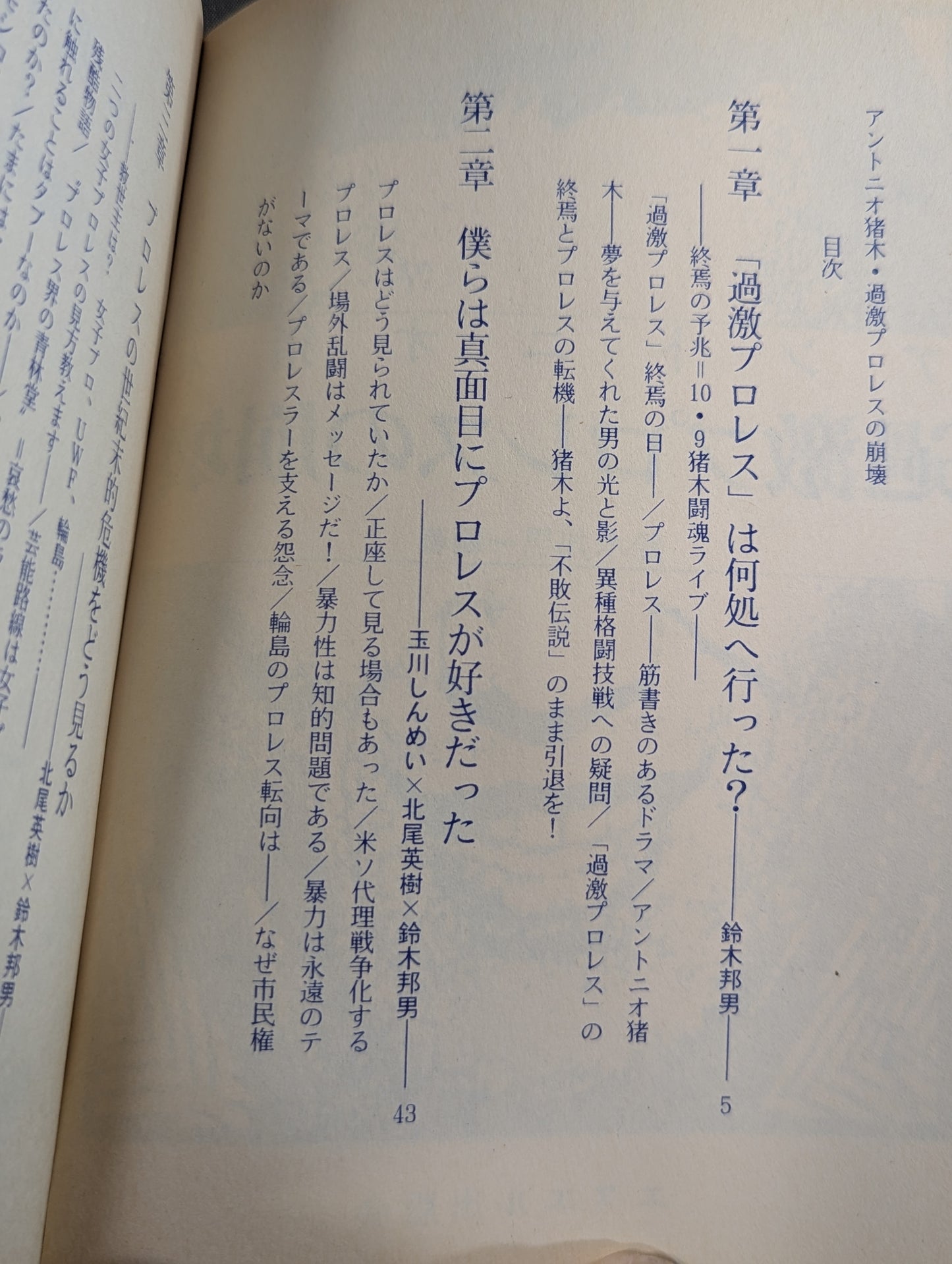 Antonio Inoki  Radical The collapse of Pro Wrestling