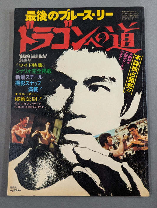 最後のブルース・リー ドラゴンへの道