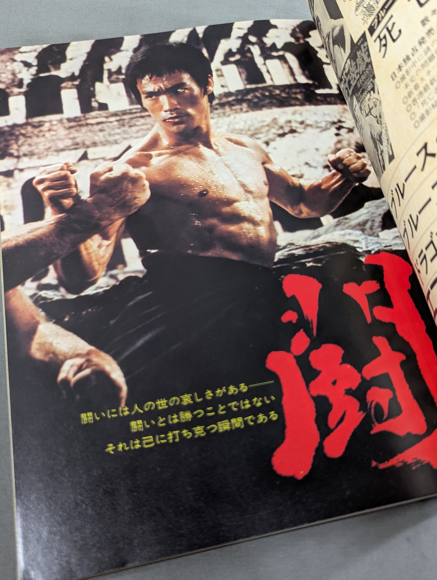 The Last Bruce Lee Lee: The Way to the Dragon