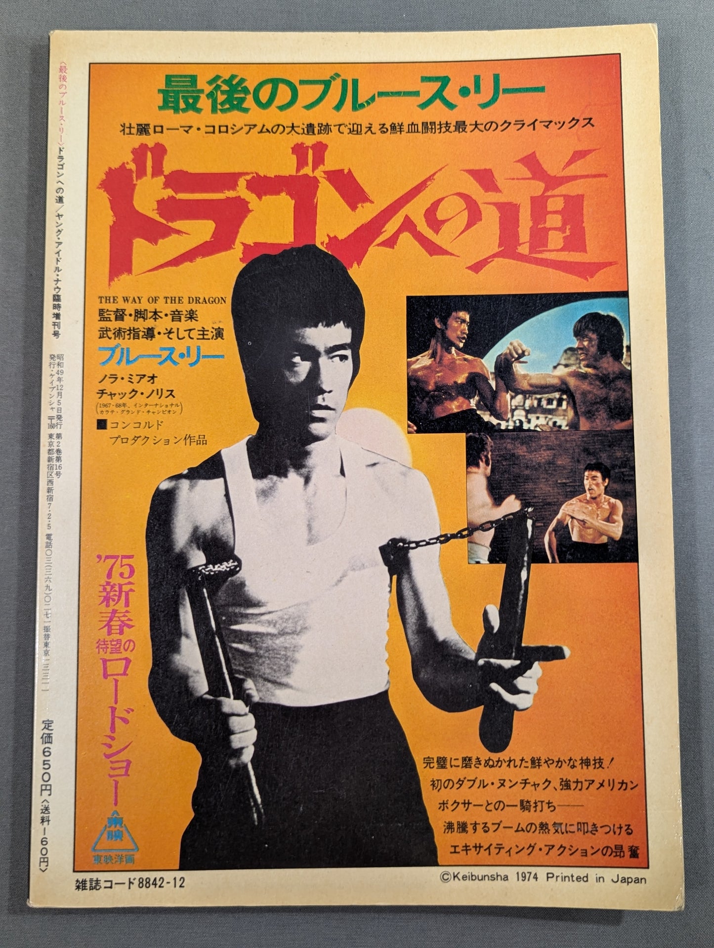 The Last Bruce Lee Lee: The Way to the Dragon