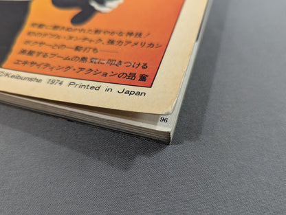 The Last Bruce Lee Lee: The Way to the Dragon
