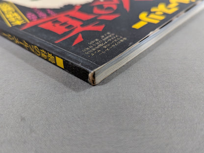The Last Bruce Lee Lee: The Way to the Dragon